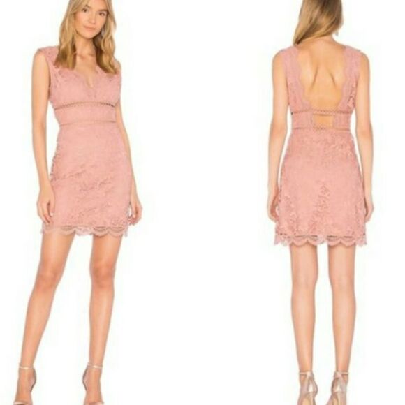 J.O.A. Lace Floral Cutout Open V-neckline Scallop Hem Mini Dress - Picture 13 of 13